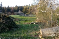 Holz sägen im April 2020